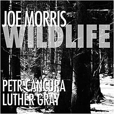 Cover for Joe Morris · Wildlife (CD) (2009)