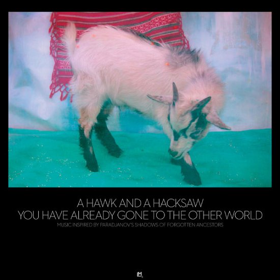 Cover for A Hawk And A Hacksaw · You Have Already Gone To The Other World (CD) (2013)