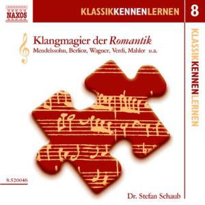 Cover for Stefan Schaub · Klangmagier Der Romantik Vol.8 (CD) (2012)