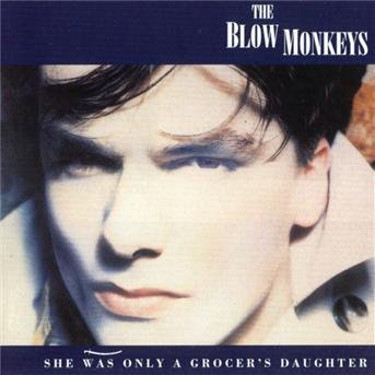 Cover for Blow Monkeys · She Was Only a Grocer's D (CD) (2002)