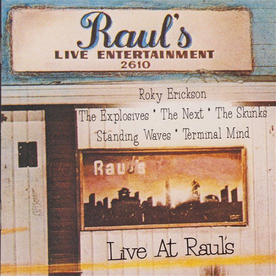 Live At Rauls - V/A - Musik - STEADYBOY RECORDS - 0751653321621 - 5. april 2024