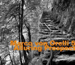 Cover for Marco Von Orelli · Alluring Prospect (CD) (2015)