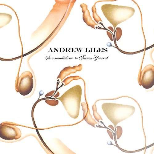 Cover for Andrew Liles · Somnambulance to Dream General (CD) (2008)