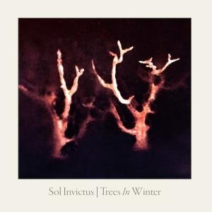 Cover for Sol Invictus · Trees in Winter (CD) [Digipak] (2011)