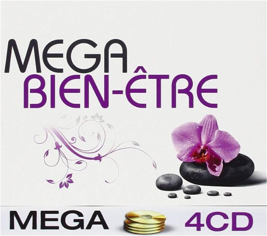 Mega Bien-Etre - Various [Wagram Music] - Musikk - Wagram - 3596972787621 - 