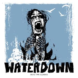 Cover for Waterdown · Into the Flames (LP) (2012)