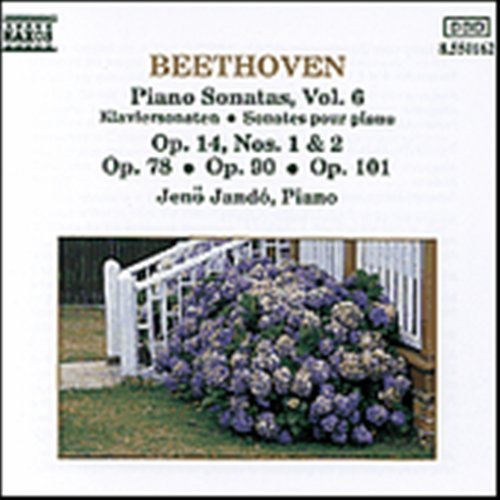 BEETHOVEN: Piano Sonatas Vol.6 - Jenö Jando - Musik - Naxos - 4891030501621 - 21 mars 1991