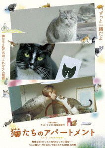 Cats`apartment - (Documentary) - Music - TAKE SHOBO CO. - 4985914757621 - June 2, 2023