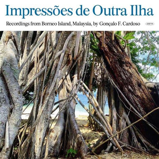 Cover for Goncalo F. Cardoso · Impressoes De Outra Ilha (Born (LP) (2022)