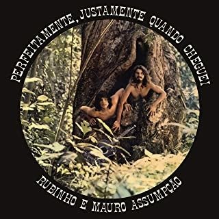 Cover for Rubinho E Mauro Assumpcao · Perfeitamente / Justamente Quando Cheguei (CD) (2023)