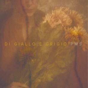 Cover for Pms  · Di Giallo E Grigio (CD)