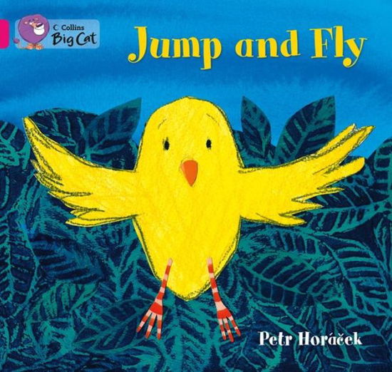 Jump and Fly: Band 01a/Pink a - Collins Big Cat - Petr Horacek - Boeken - HarperCollins Publishers - 9780007512621 - 2 september 2013