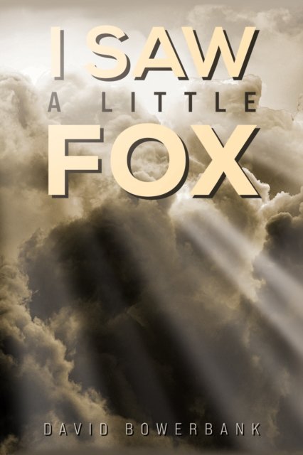 I Saw a Little Fox - David Bowerbank - Livros - Austin Macauley Publishers - 9781035851621 - 26 de abril de 2024