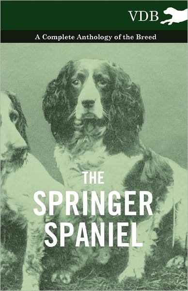 Cover for The Springer Spaniel - a Complete Anthology of the Breed (Pocketbok) (2010)