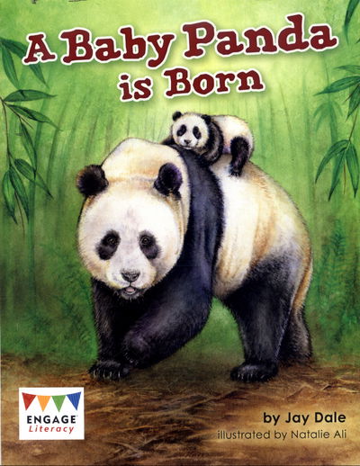 Cover for Jay Dale · A Baby Panda is Born - Engage Literacy White (Paperback Book) (2017)