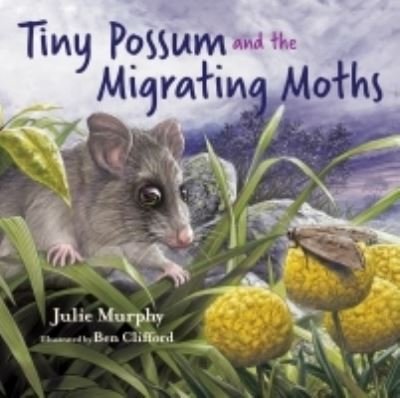 Cover for Julie Murphy · Tiny Possum and the Migrating Moths (Innbunden bok) (2021)