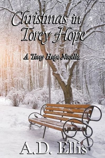 Cover for A D Ellis · Christmas in Torey Hope: a Novella (Pocketbok) (2014)