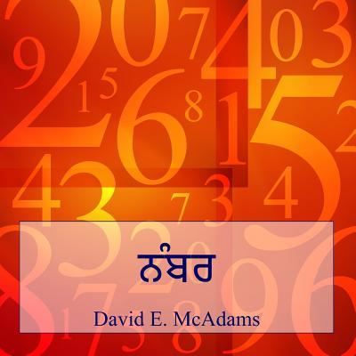 Cover for David E McAdams · Nabara (Paperback Book) (2015)