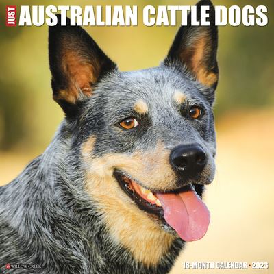 Cover for Willow Creek Press · Just Australian Cattle Dogs 2023 Wall Calendar (Book) (2022)