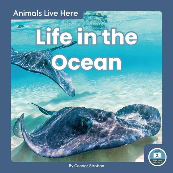 Cover for Connor Stratton · Life in the Ocean - Animals Live Here (Paperback Book) (2020)