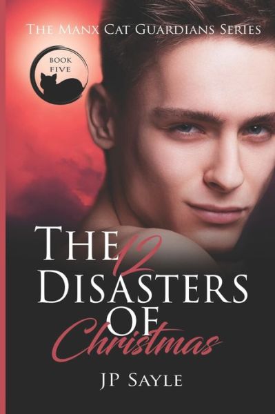 Cover for Jp Sayle · The Twelve Disasters of Christmas (Paperback Book) (2018)