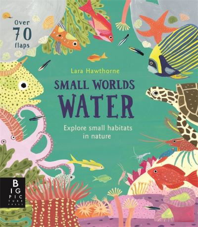 Small Worlds: Water - Small Worlds - Lily Murray - Kirjat - Templar Publishing - 9781787415621 - torstai 1. lokakuuta 2020