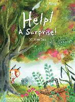 Cover for Miriam Bos · Help! A Surprise! (Hardcover Book) (2023)