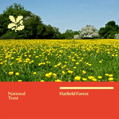Cover for National Trust · Hatfield Forest (Paperback Book) (2013)