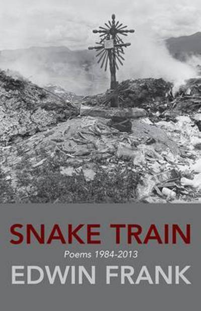 Cover for Edwin Frank · Snake Train (Paperback Book) (2015)