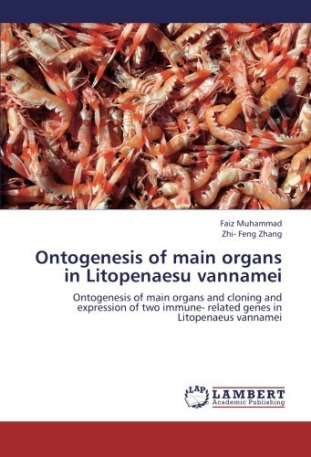 Cover for Zhi- Feng Zhang · Ontogenesis of Main Organs in Litopenaesu Vannamei: Ontogenesis of Main Organs and Cloning and Expression of Two Immune- Related Genes in Litopenaeus Vannamei (Paperback Book) (2012)