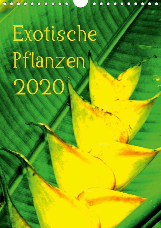 Cover for Brun · Exotische Pflanzen (Wandkalender 2 (Book)