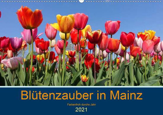 Cover for Köller · Blütenzauber in Mainz (Wandkalen (Book)