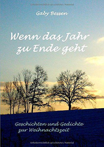 Cover for Gaby Bessen · Wenn Das Jahr Zu Ende Geht (Paperback Book) [German edition] (2014)