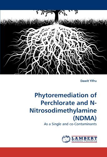 Cover for Dawit Yifru · Phytoremediation of Perchlorate and N-nitrosodimethylamine (Ndma): As a Single and Co-contaminants (Paperback Bog) (2011)