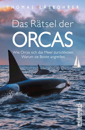 Cover for Thomas Käsbohrer · Das Rätsel der Orcas (Book) (2023)