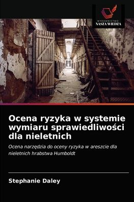 Cover for Stephanie Daley · Ocena ryzyka w systemie wymiaru sprawiedliwo?ci dla nieletnich (Paperback Book) (2021)