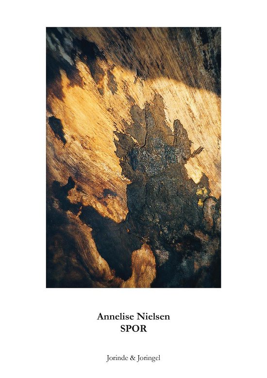 Cover for Annelise Nielsen · Spor (Book) [1e uitgave] (2012)