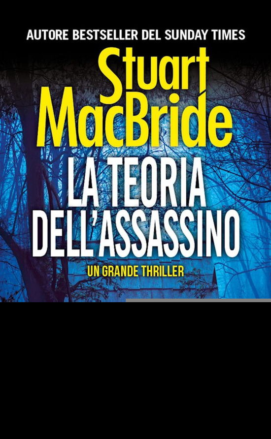 La Teoria Dell'assassino - Stuart MacBride - Książki -  - 9788822777621 - 