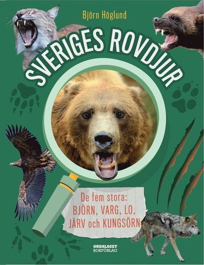 Cover for Björn Höglund · Sveriges rovdjur : de fem stora: björn, varg, lo, järv och kungsörn (Bound Book) (2020)