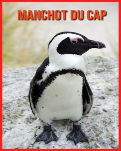 Cover for Linda Davis · Manchot du Cap (Paperback Book) (2021)