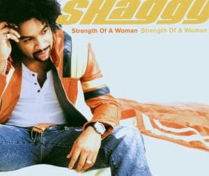 Cover for Shaggy · Strength Of A Woman (CD)