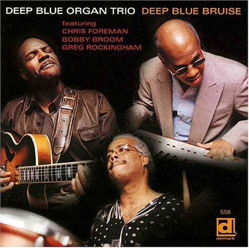 Deep Blue Bruise - Deep Blue Organ Trio - Muziek - DELMARK - 0038153055622 - 12 oktober 2004