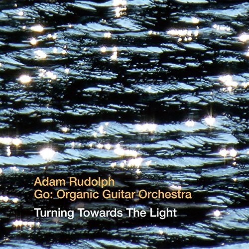 Cover for Rudolph,adam / Go: Organic Guitar Orchestra · Turning Towards the Light (CD) (2015)