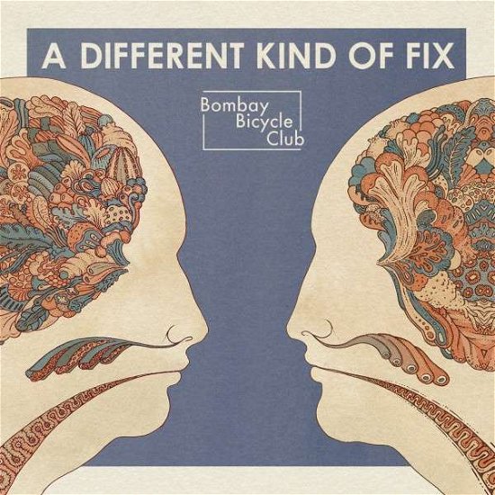 Different Kind Of Fix - Bombay Bicycle Club - Music - A&M - 0602527912622 - January 17, 2012