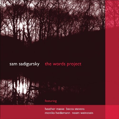Cover for Sadigursky / Masse / Heidemann / Stevens / Rende · Words Project 1 (CD) (2010)