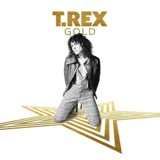 Gold - T. Rex - Musiikki - CRIMSON GOLD - 0654378061622 - perjantai 7. syyskuuta 2018