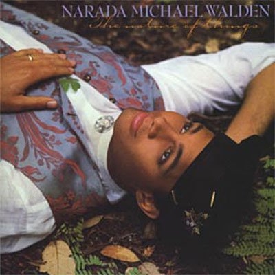 Nature of Things, the - Narada Michael Walden - Music - WOUNDED BIRD - 0664140517622 - December 18, 2008