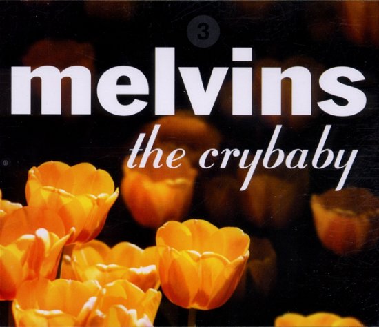 Crybaby - Melvins - Music - IPECAC - 0718752440622 - March 11, 2001
