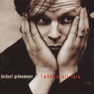 What's All This - Herbert Grínemeyer - Musik - EMI - 0724353084622 - 1. Dezember 2000