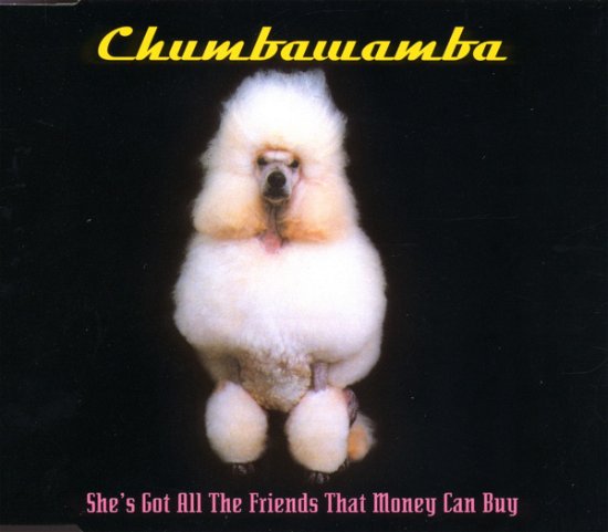 Cover for Chumbawamba · She's Got All the Friends Money Can Bu (SCD)
